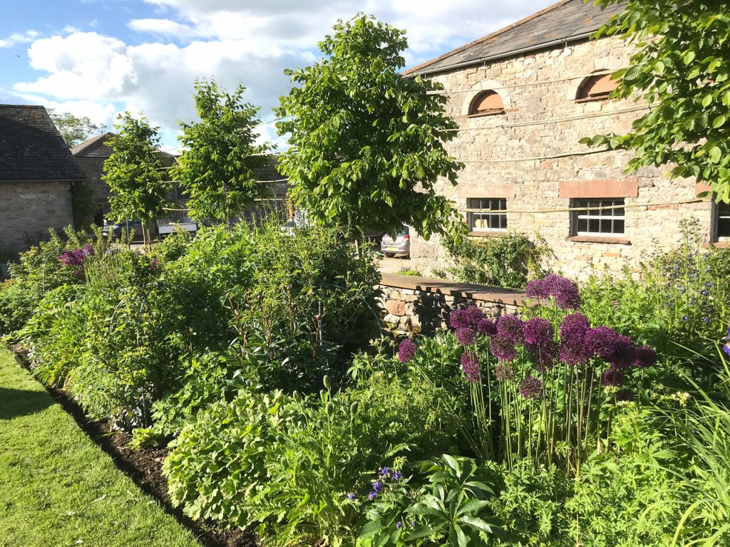 Garden in Cumbria, North of England