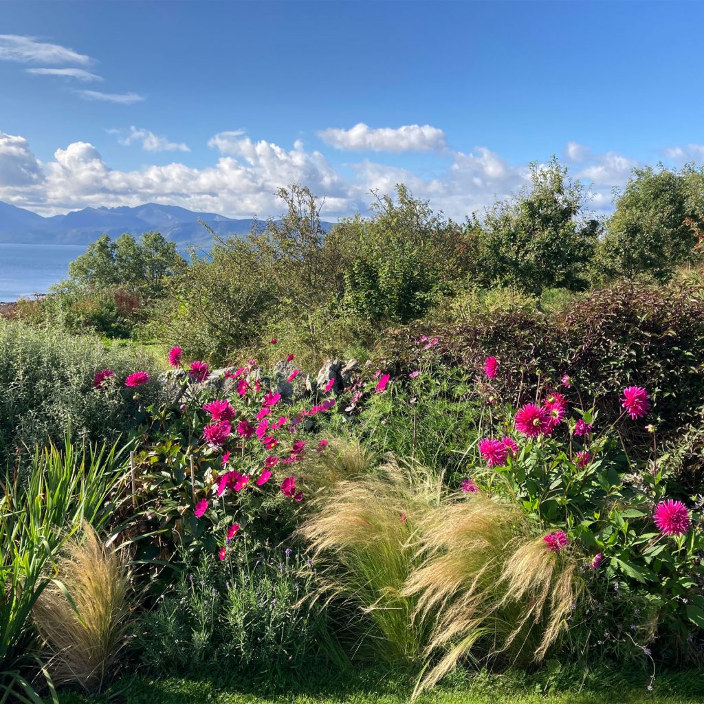Garden in Isle of Bute, Scotland