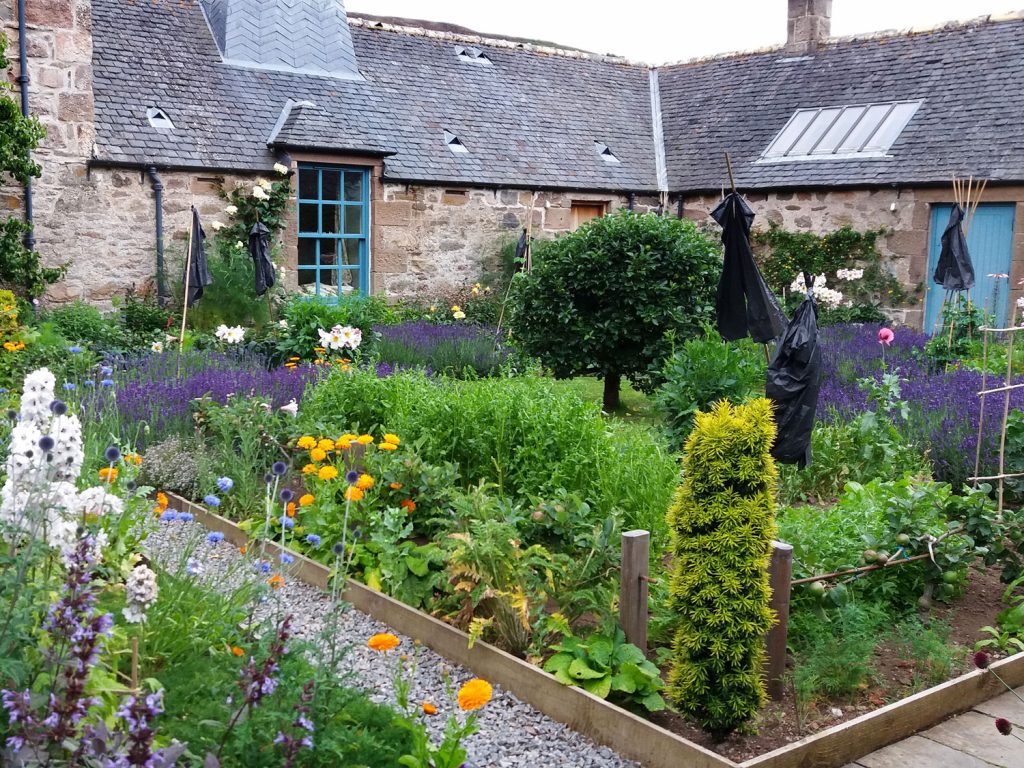 Garden in Nairn, Scotland