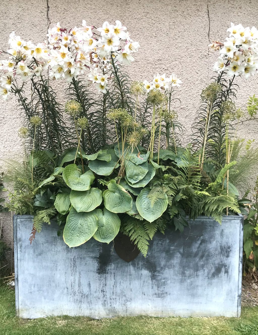 Garden in Nairn, Scotland